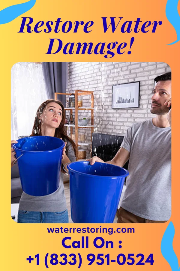 water restoration Apex Flood Damage Masters Wyoming