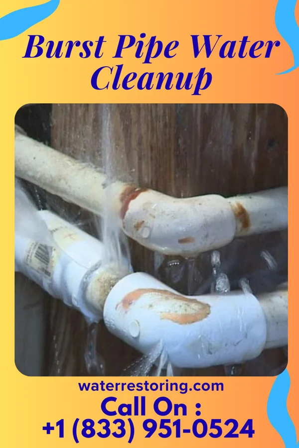 Burst Pipe Water Cleanup in Wyoming, NY
