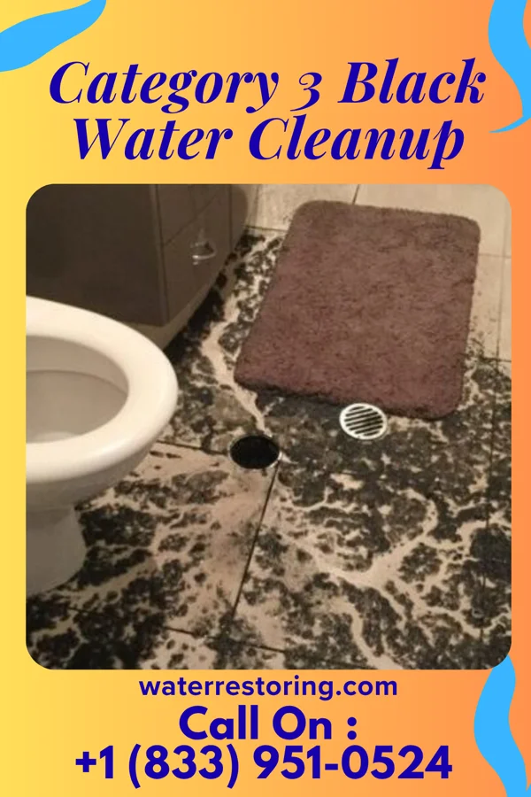 Category 3 Black Water Cleanup in Wyoming, NY
