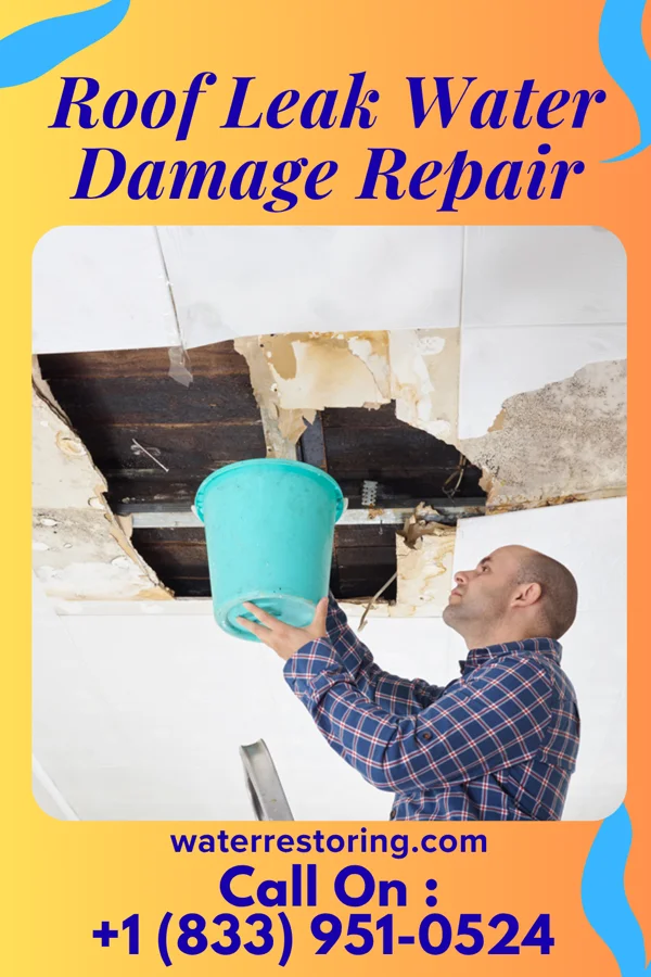 Roof Leak Water Damage Repair in Wyoming, NY